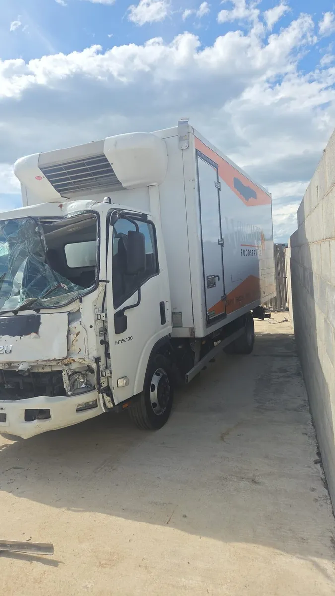 2024  isuzu deep freezer  lorry - Image 2