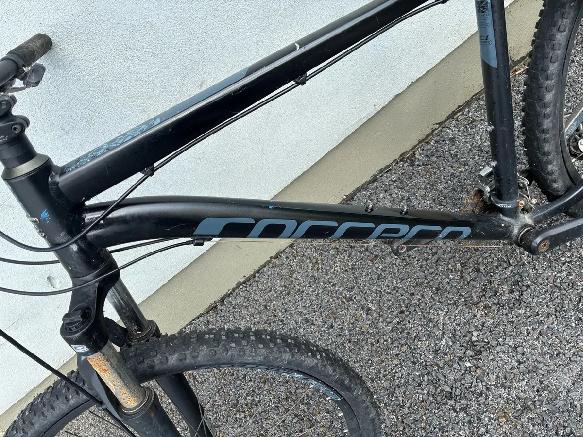 Bicycle - Image 2