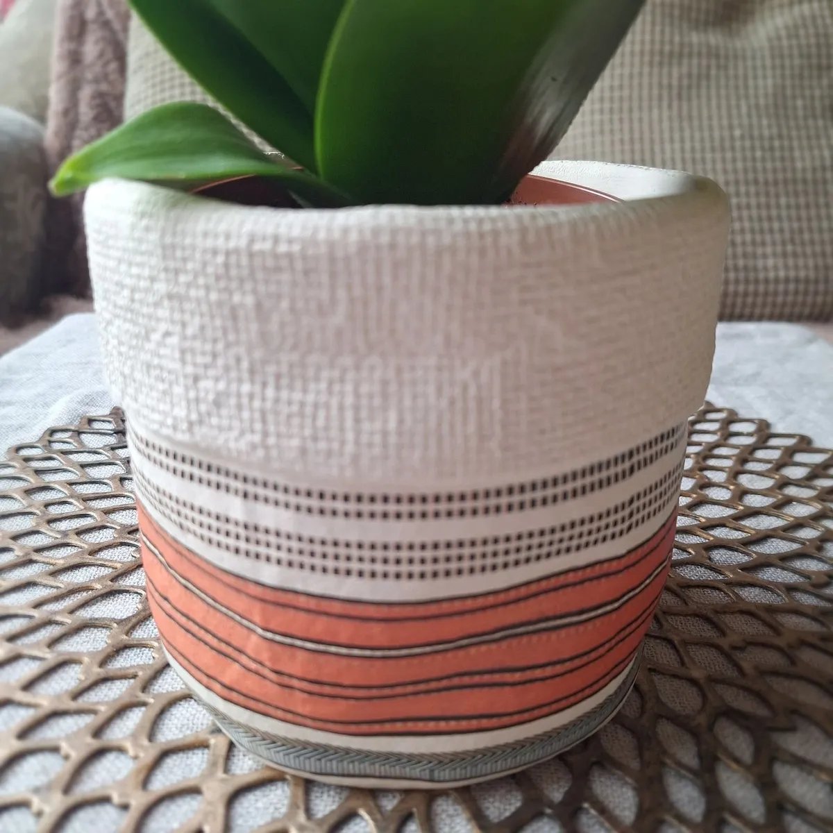 Beautiful Sansevieria Hahnii in decorative pot - Image 2