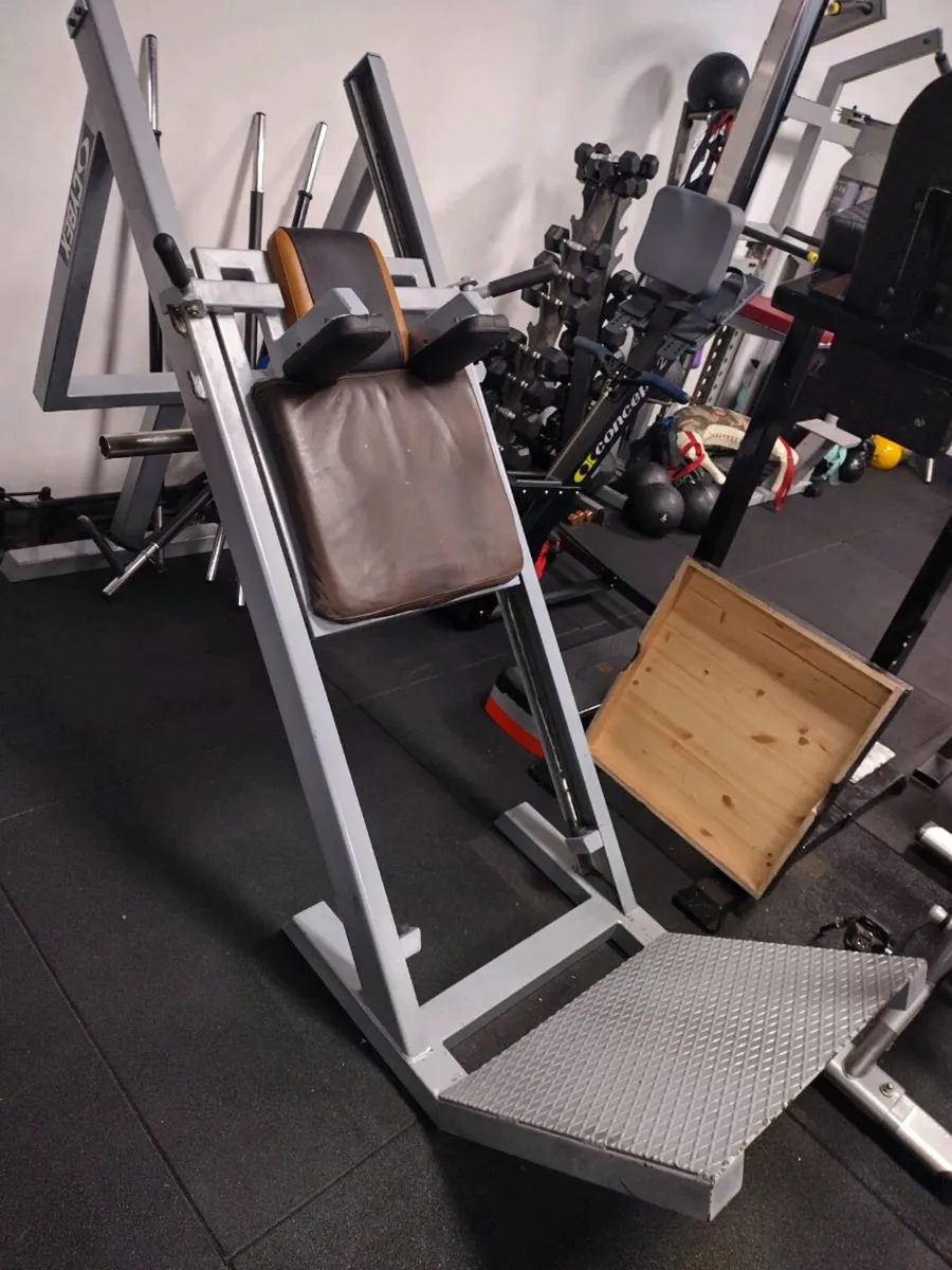 Hack squat