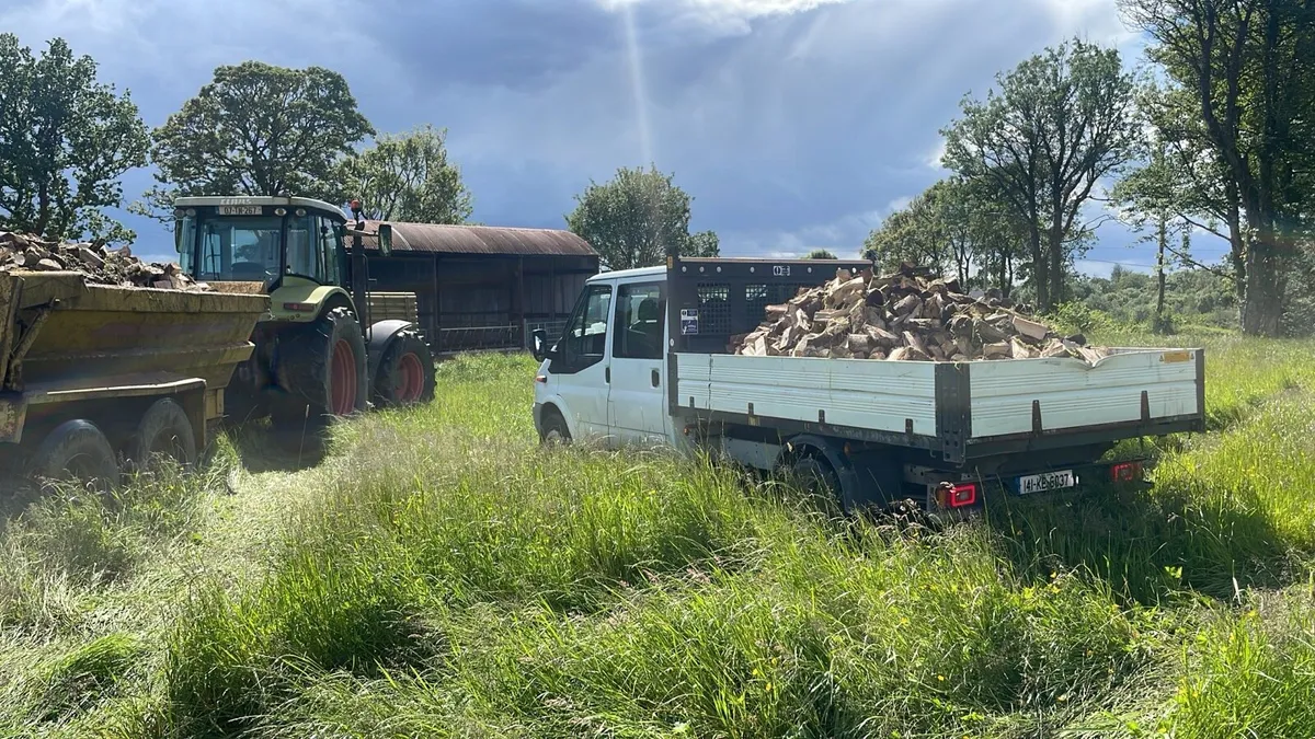 Firewood - Image 1