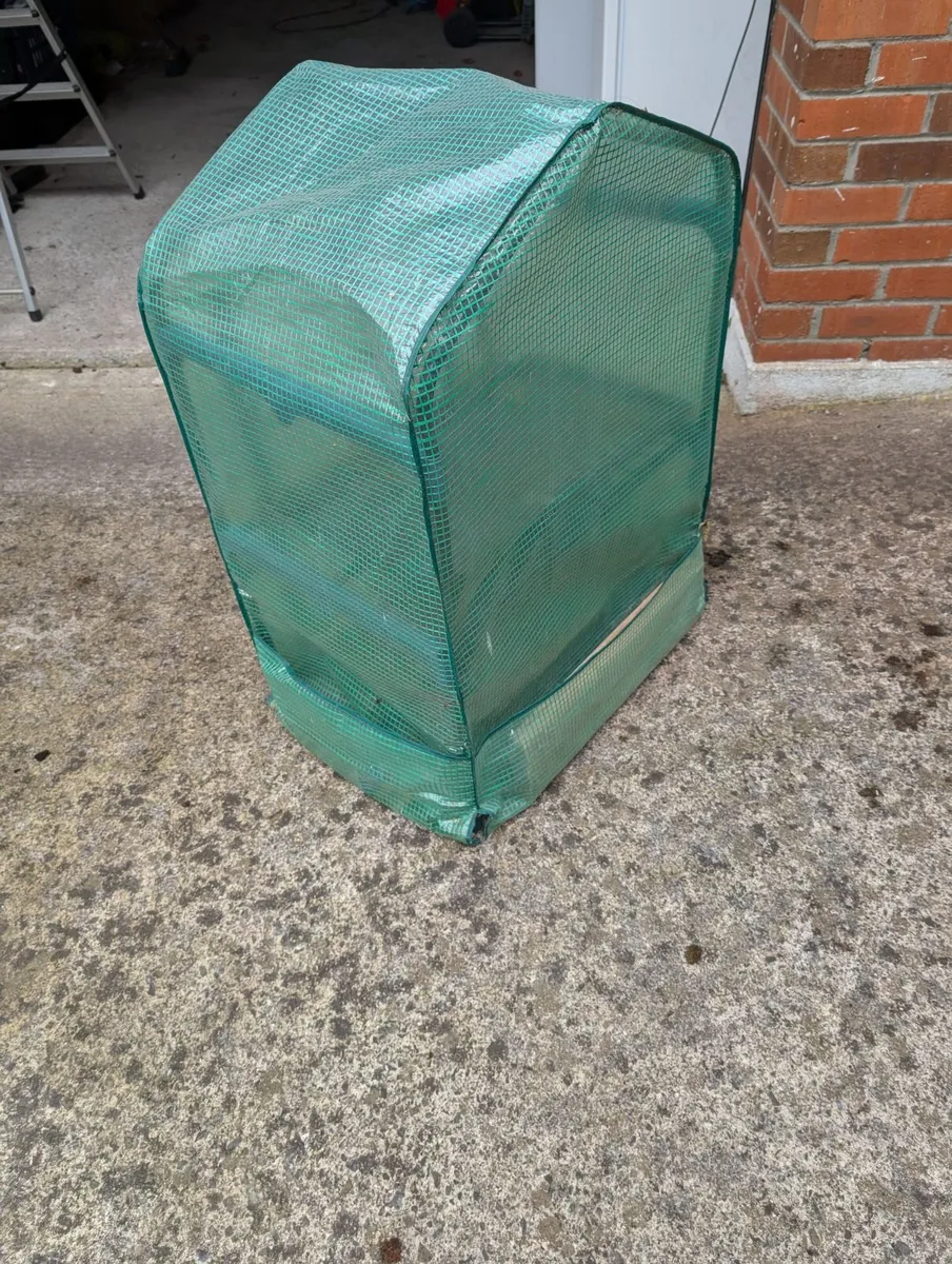 greenhouse (mini) - Image 2