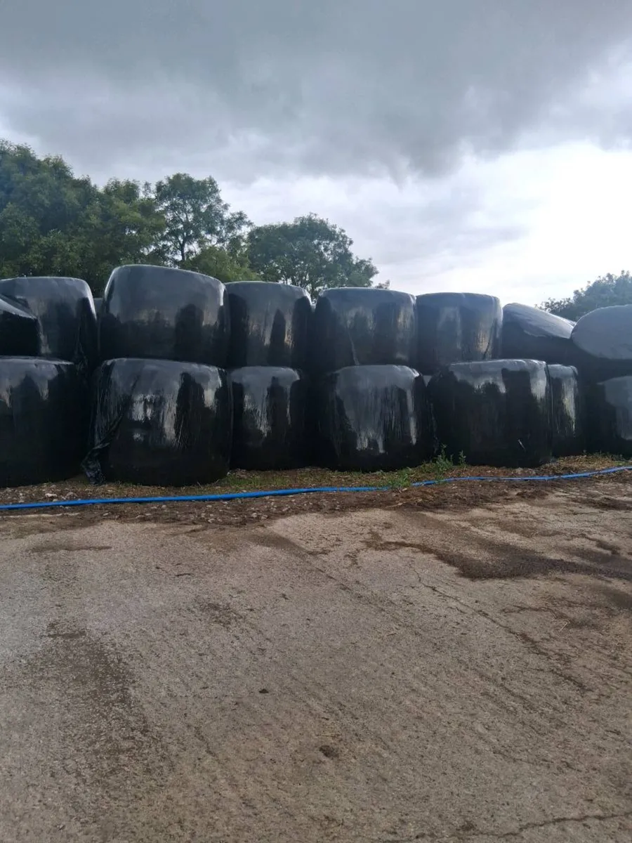 Silage bales - Image 2