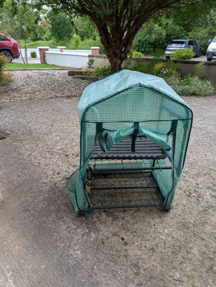 greenhouse (mini) - Image 4