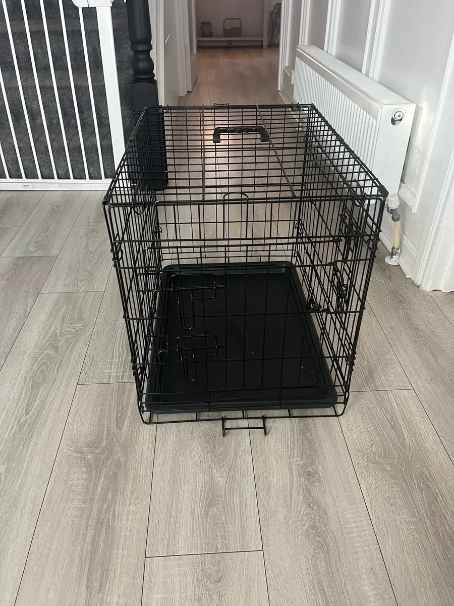 Dog Accessories - Image 1