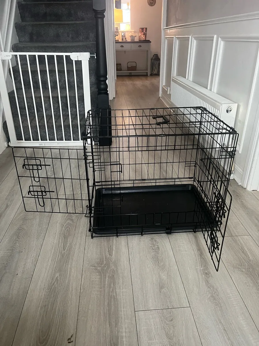 Dog Accessories - Image 2