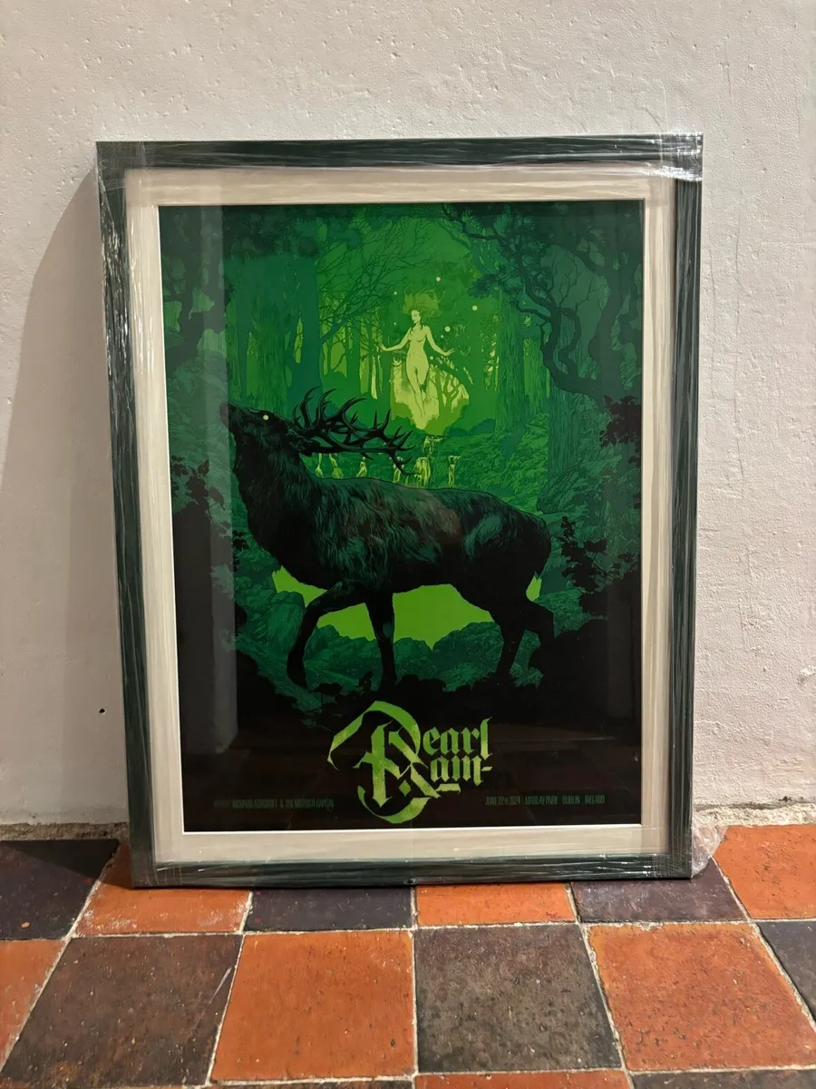 Pearl Jam Dublin Poster - Image 3