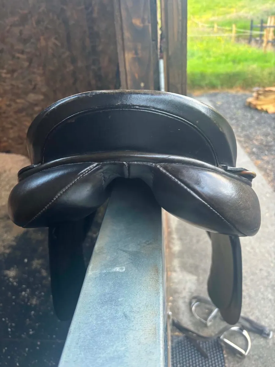 Saddle - Image 3