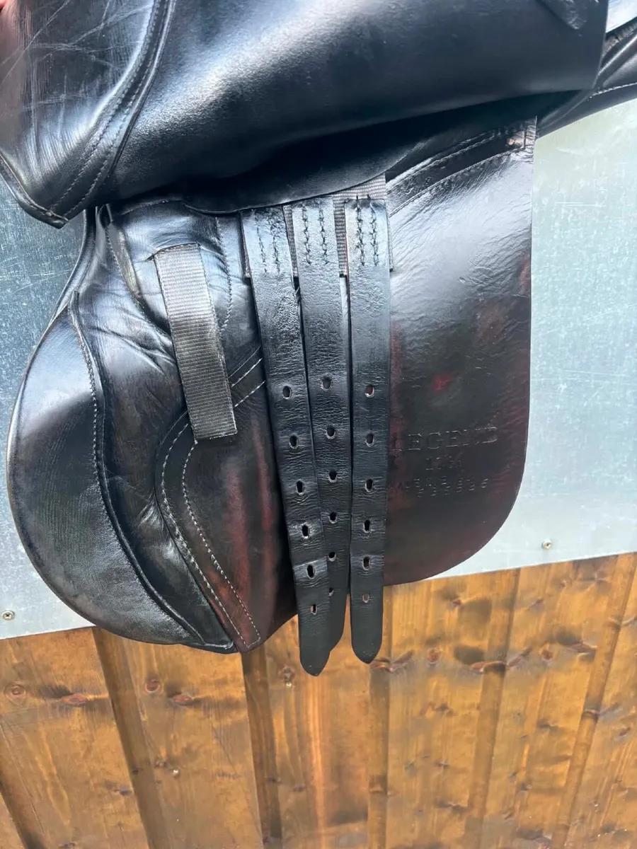 Saddle - Image 4