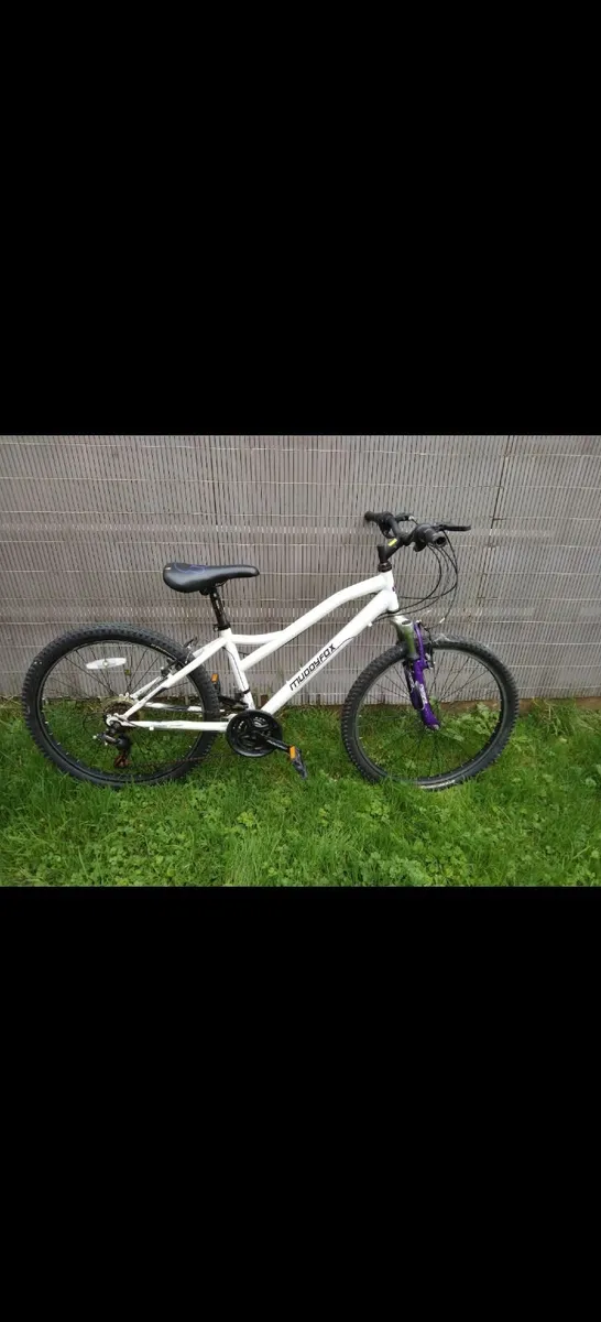 Bike - Image 1