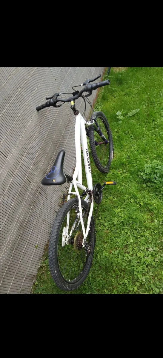 Bike - Image 2