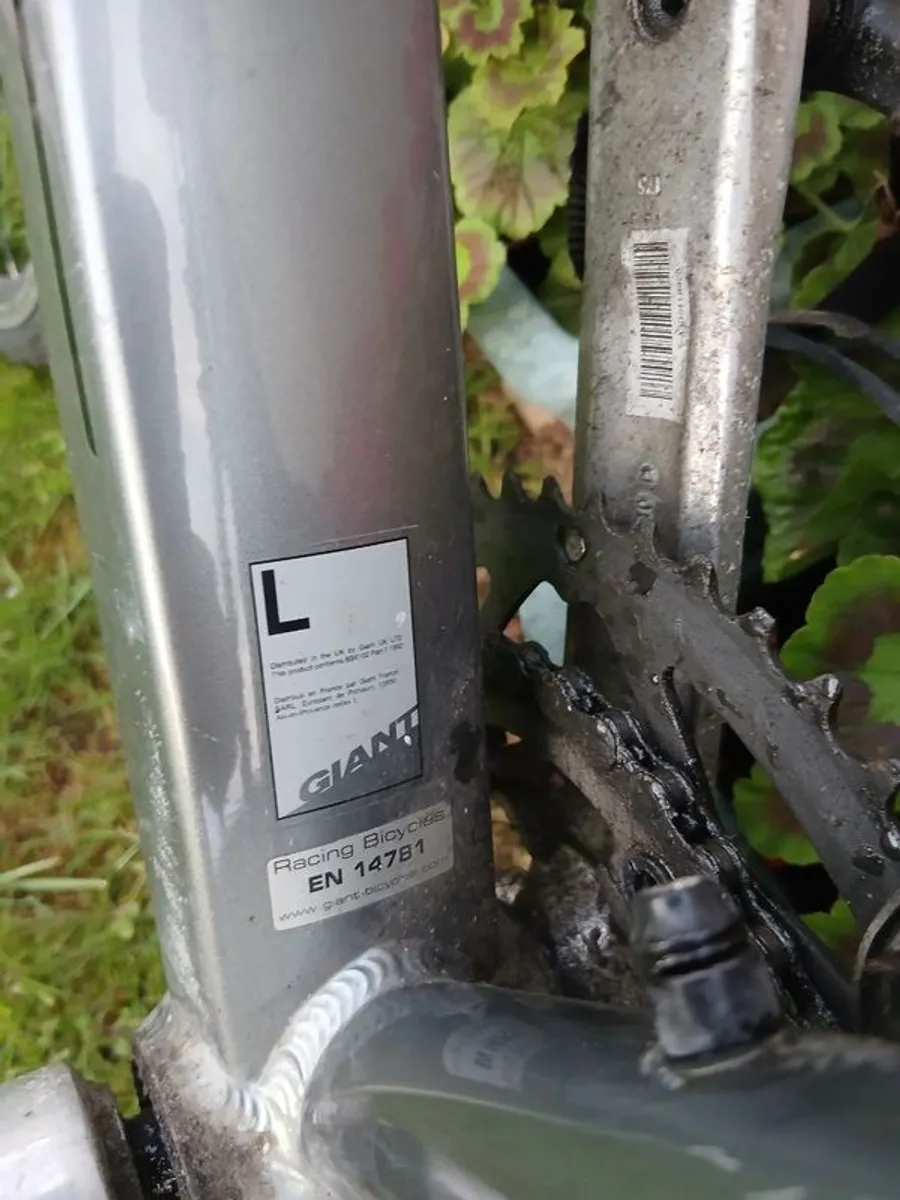 Large Mens Giant Road Bike - Image 4