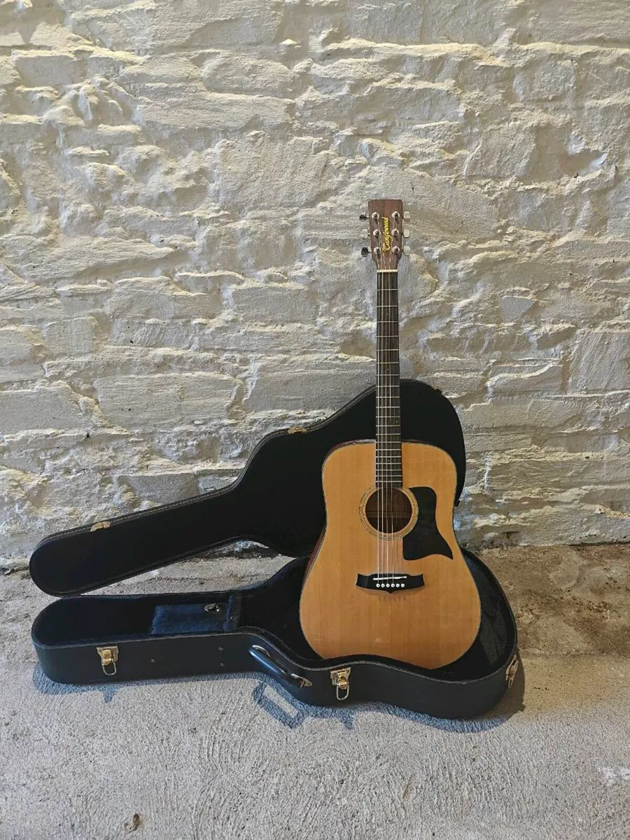 Tanglewood Acoustic Guitar & Hardcase - Image 1
