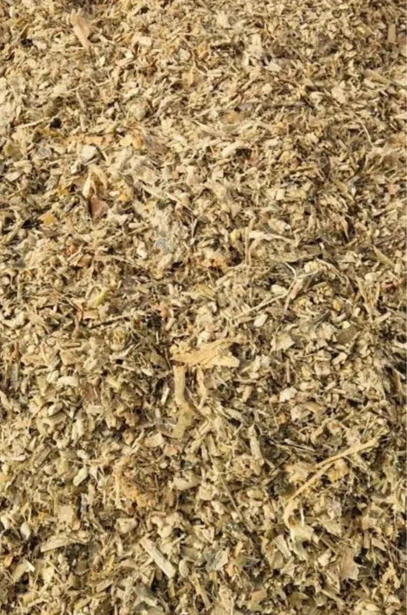 Maize silage - Image 3