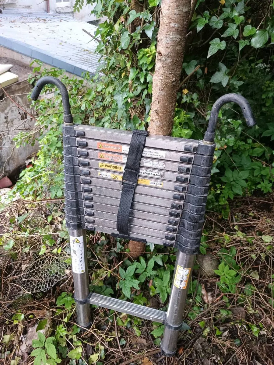 5 meters telescope ladder - Image 2