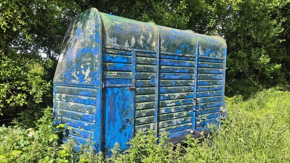 Horse Box