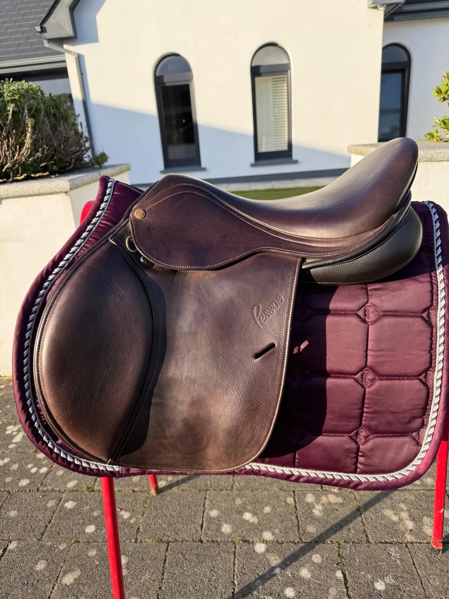 16.5 inch Pessoa Show jumping Saddle - Image 1