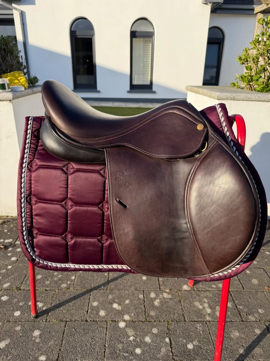 16.5 inch Pessoa Show jumping Saddle - Image 4