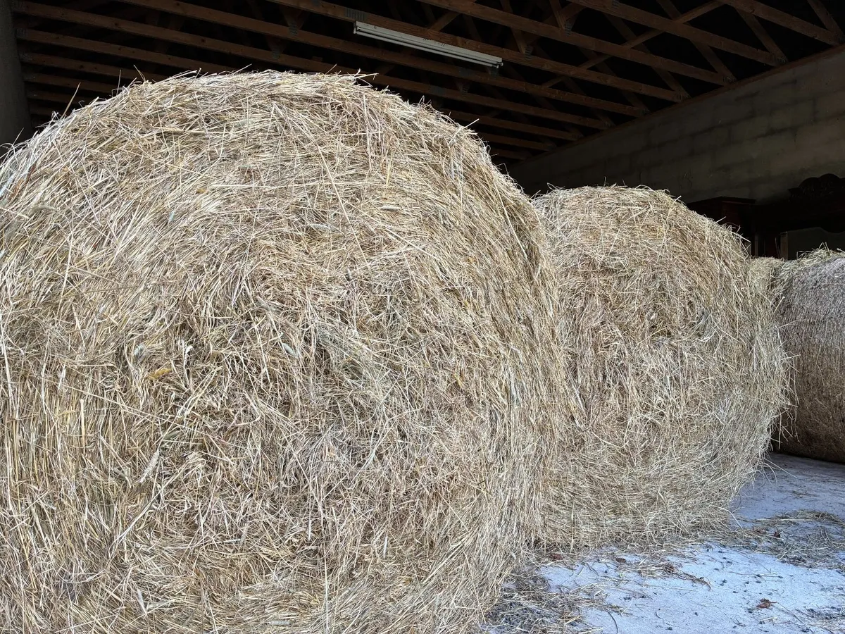 Organic Round Hay Bales