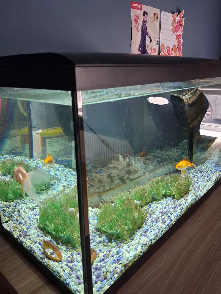 Fish Tank - Image 2