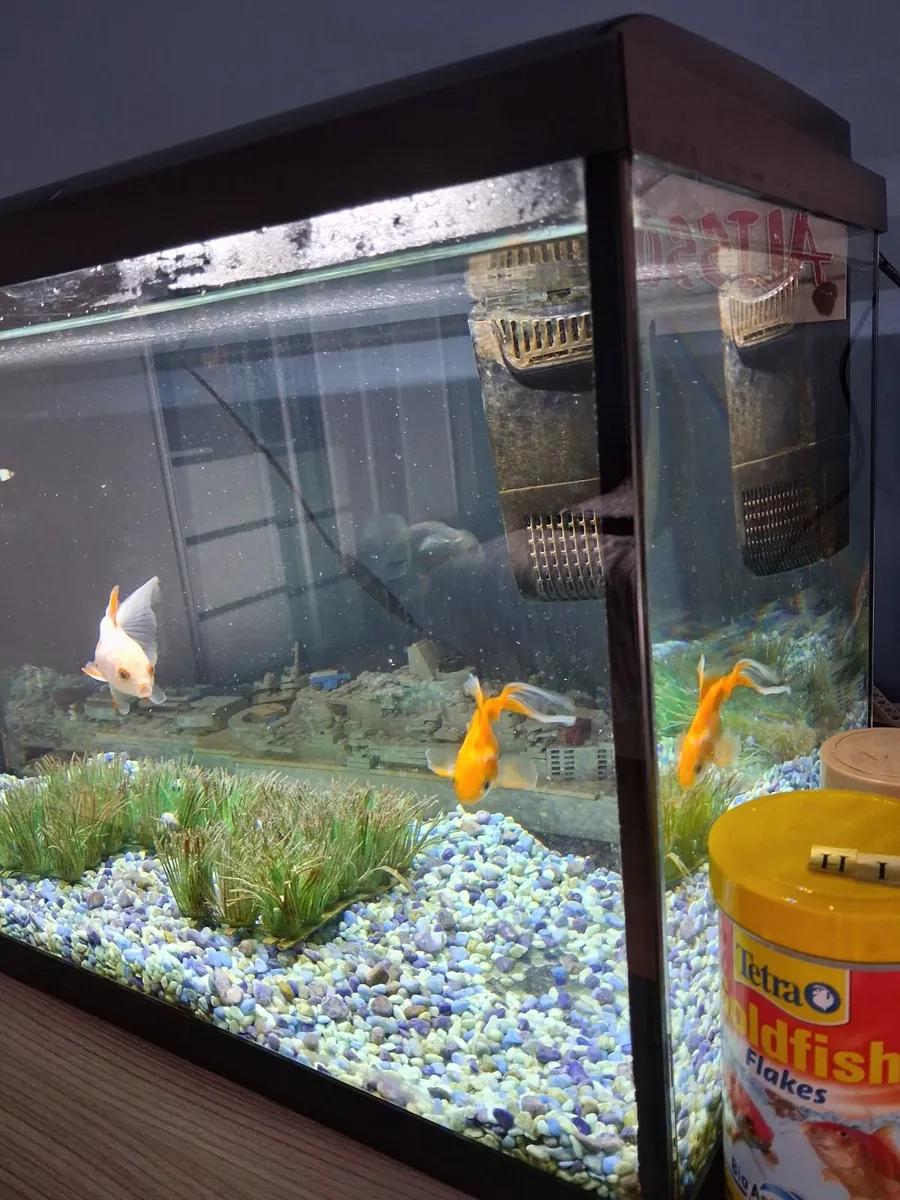 Fish Tank - Image 3