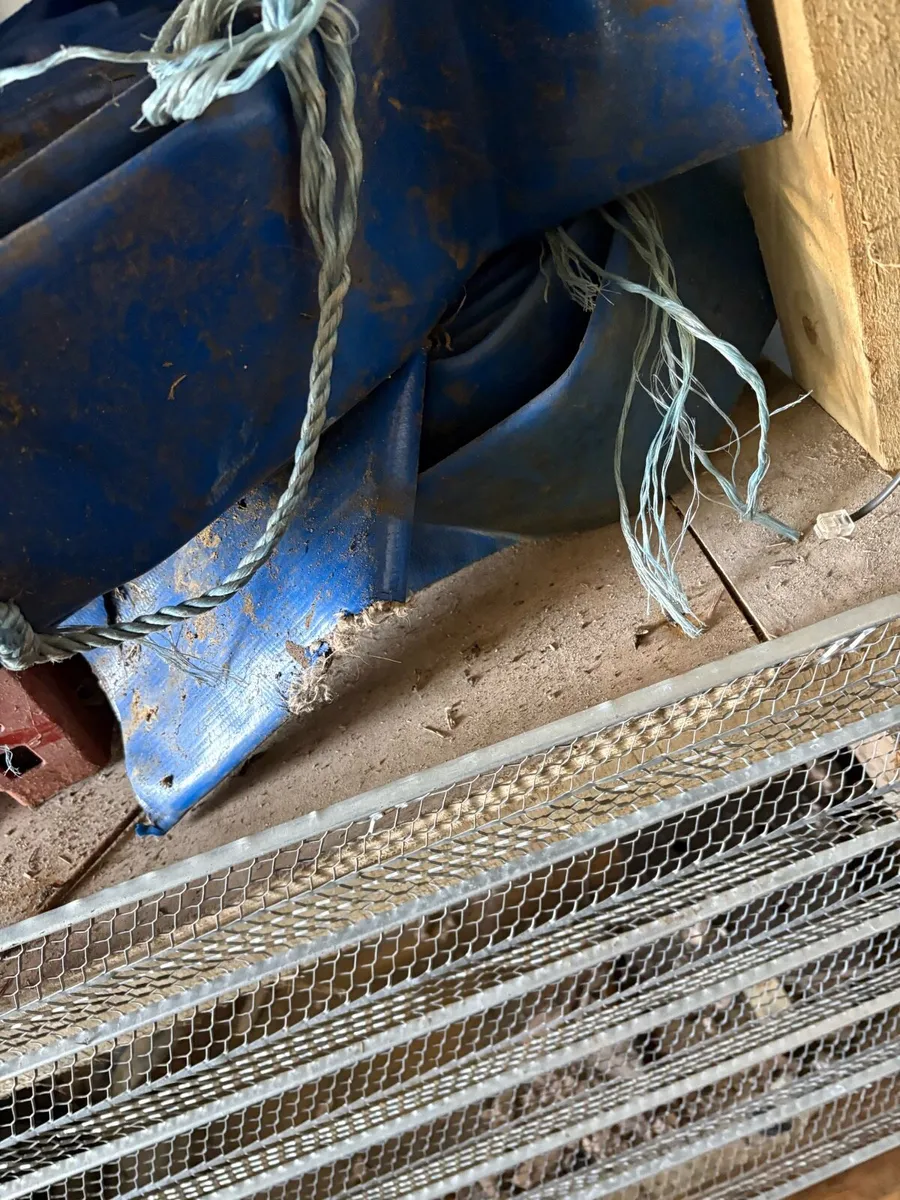 Hydro hoses - Image 4