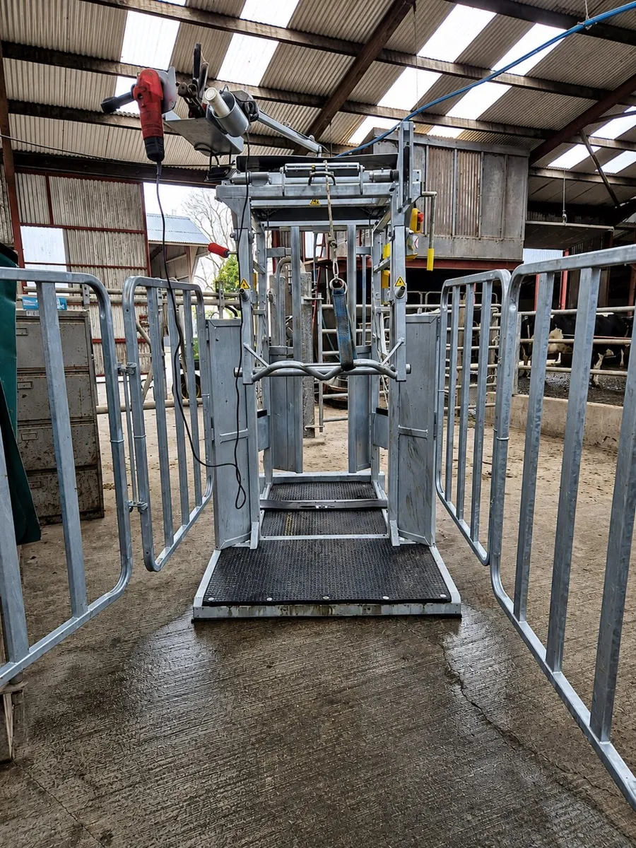 Cowcare SIA electric hoof trimming crush - Image 4