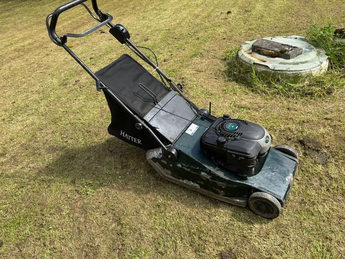Lawnmower - Image 1