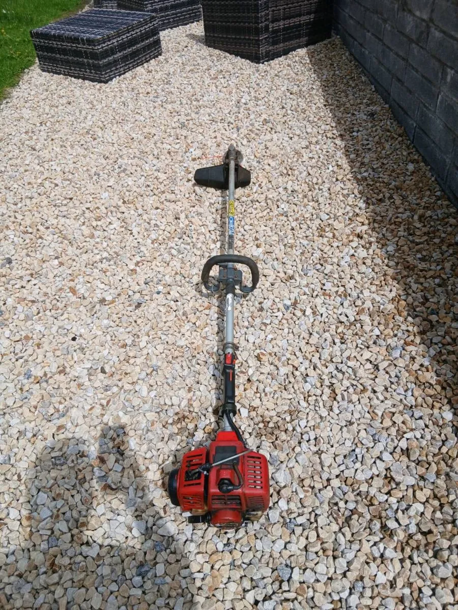 PETROL STRIMMERS - Image 2