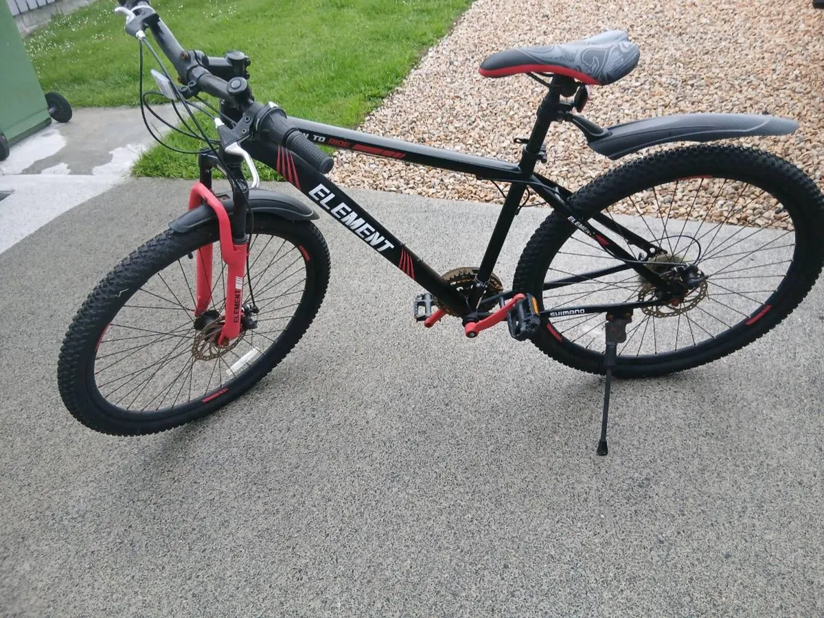 ADULTS BIKE - Image 1