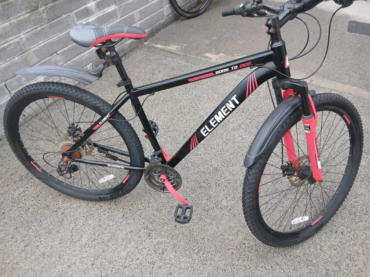 ADULTS BIKE - Image 2