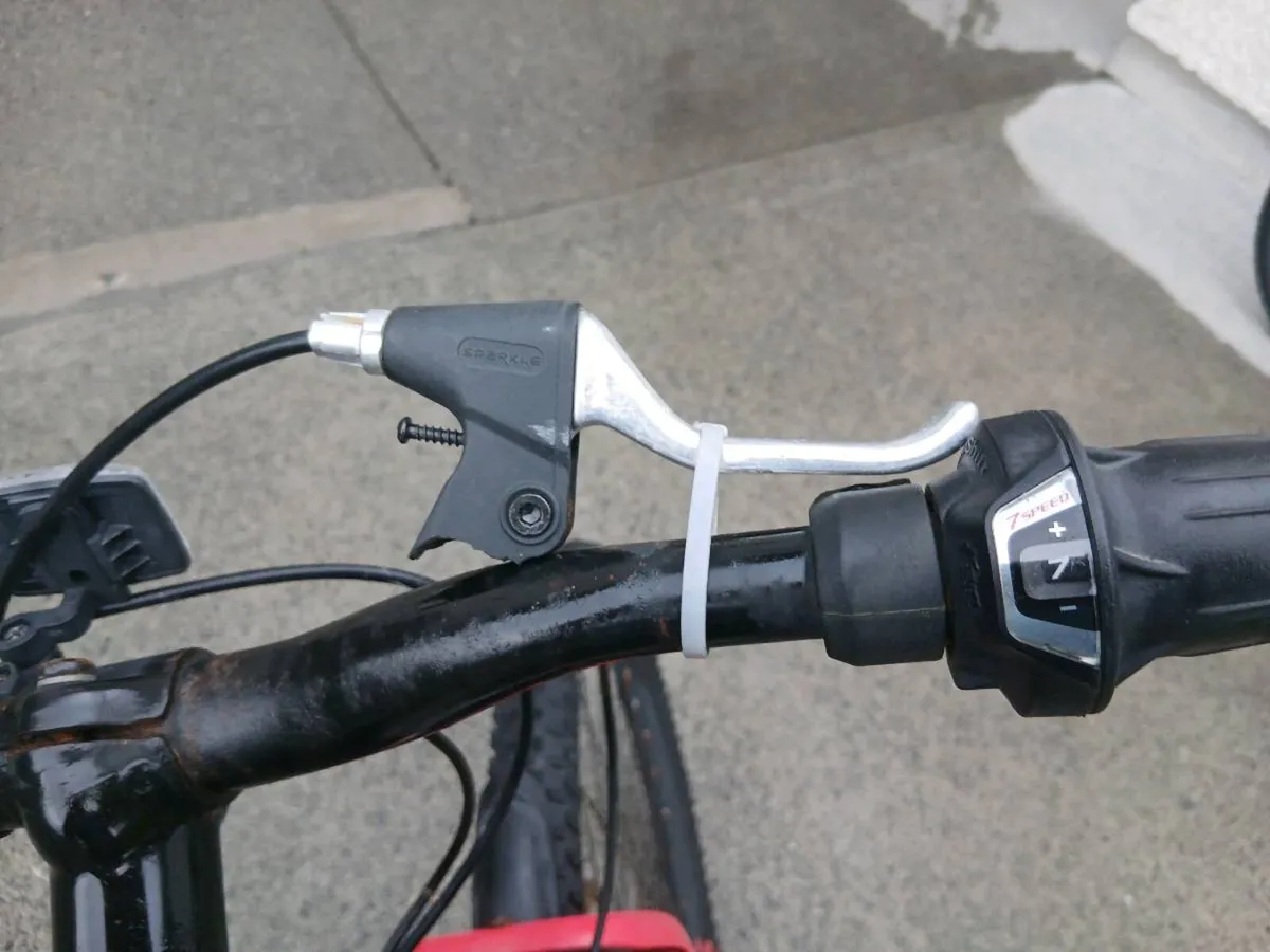 ADULTS BIKE - Image 3