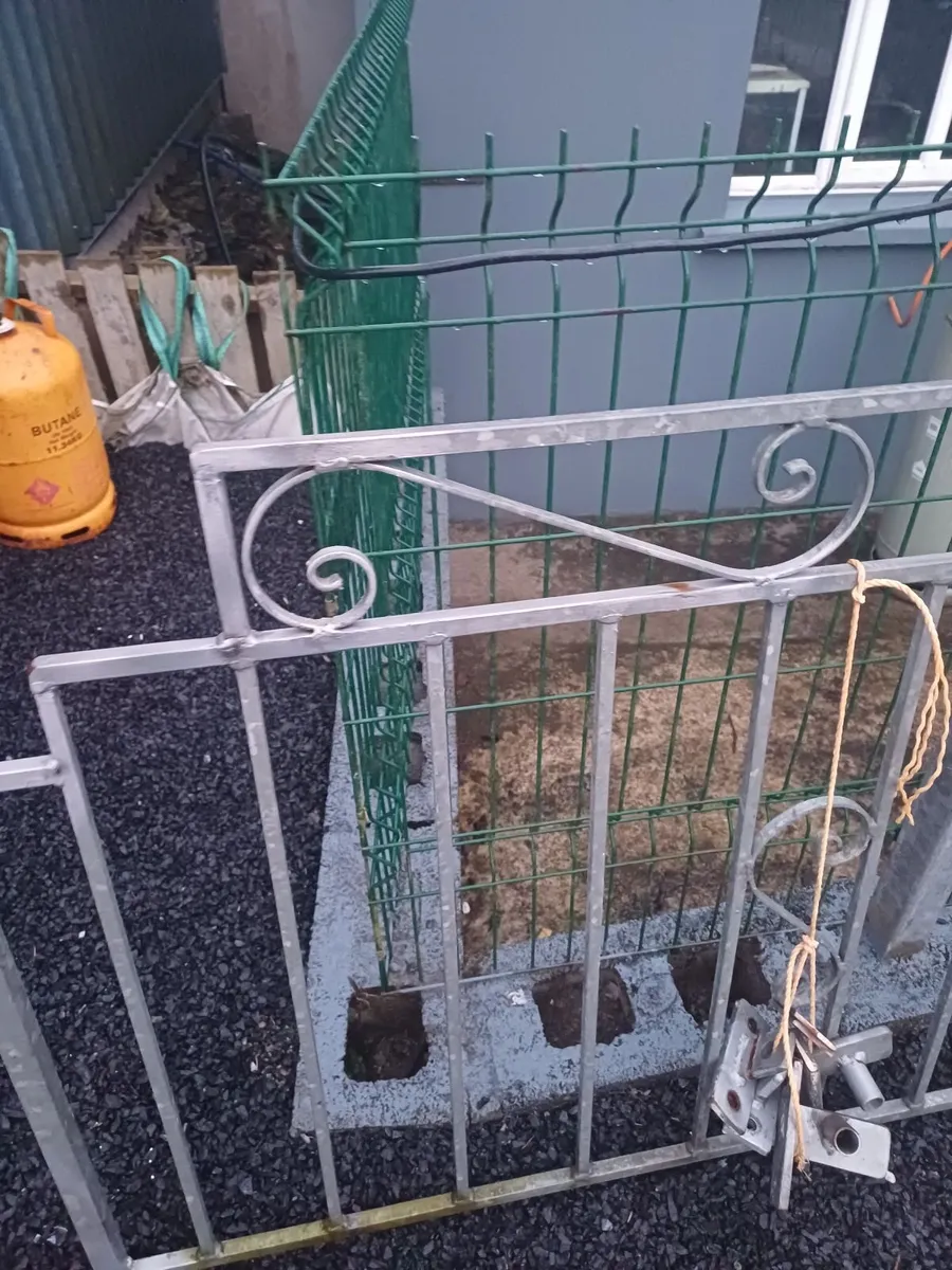 Wrought iron gates - Image 1
