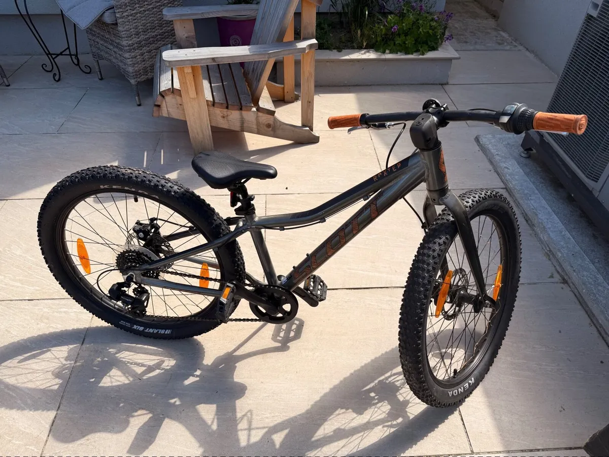 Scott Roxter 24 Kids Bicycle - Image 1