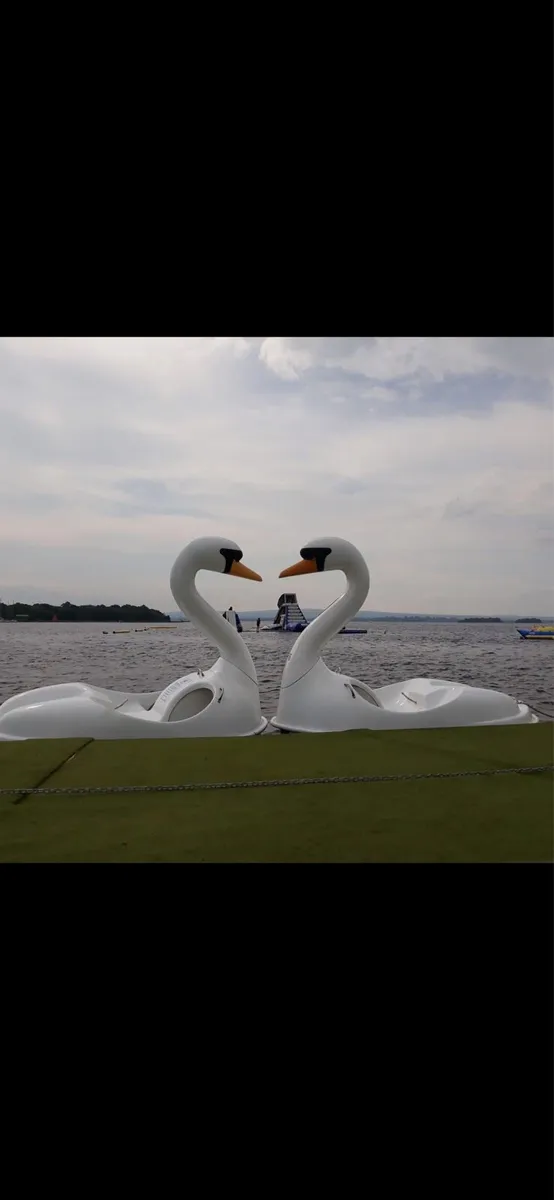Pedal boat swan - Image 1