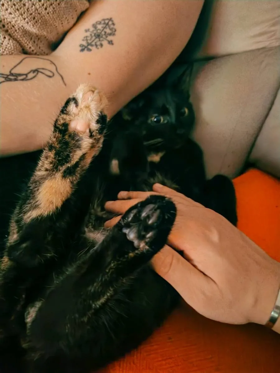 Sweet young girl - Image 1