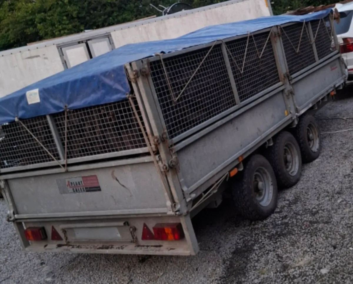 Nugent 14ft trailer - Image 2