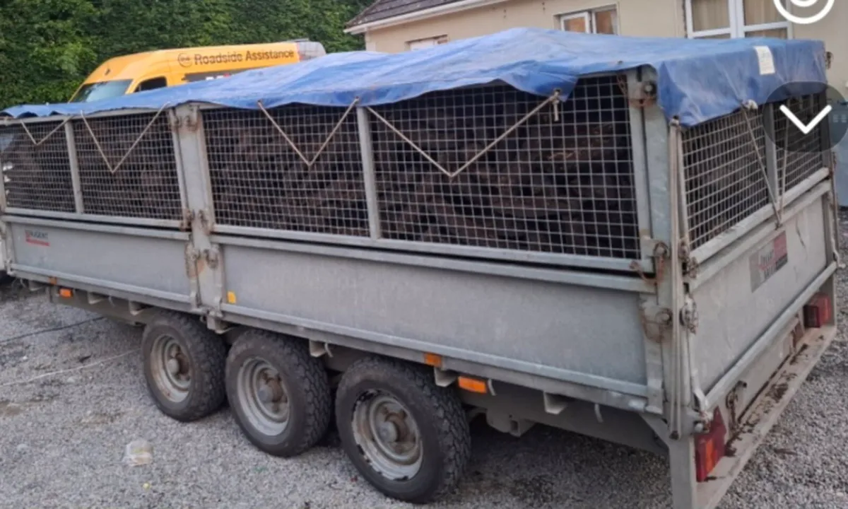 Nugent 14ft trailer - Image 3