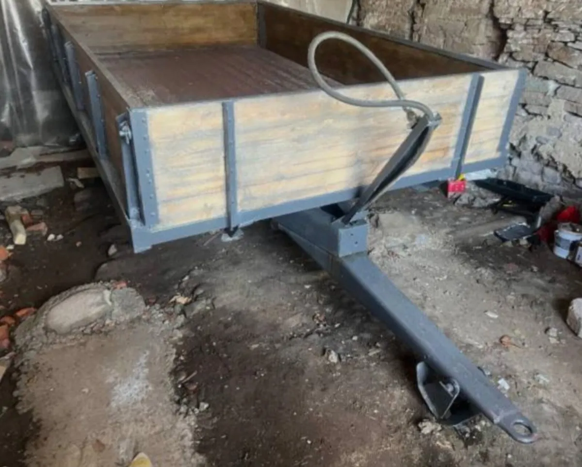 Ferguson 3 tonne trailer - Image 1