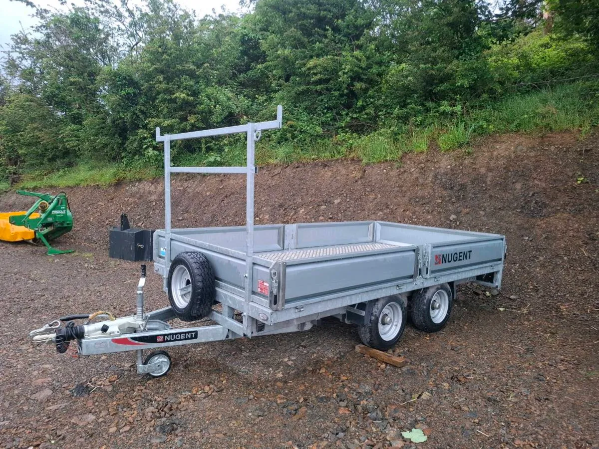 Nugent 12ft - Image 1