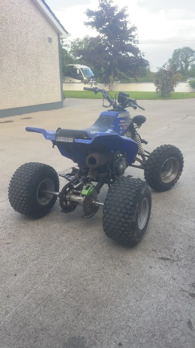 Yamaha Blaster - Image 3