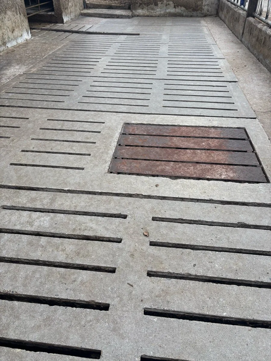 Banagher Slats - Image 4