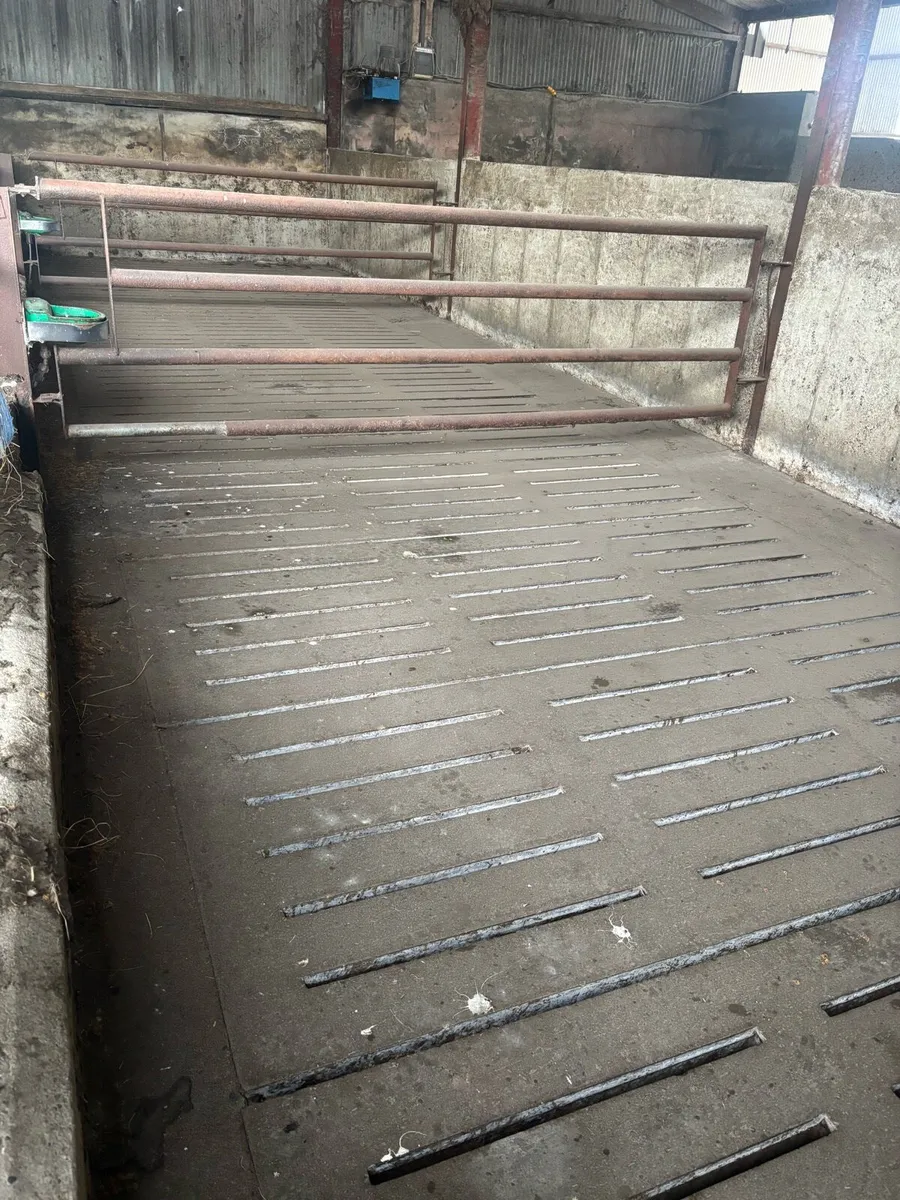 Banagher Slats - Image 2