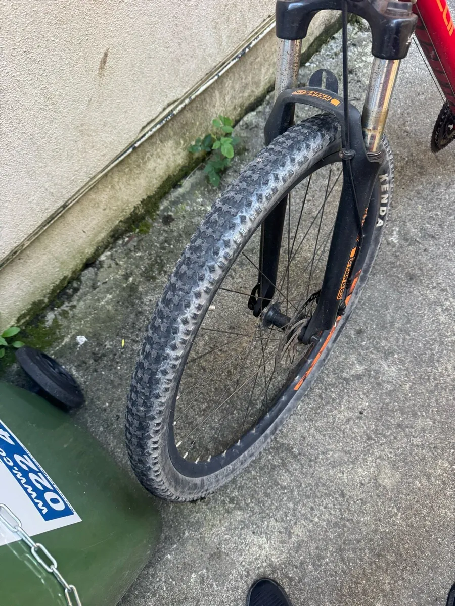Carrero bike - Image 2
