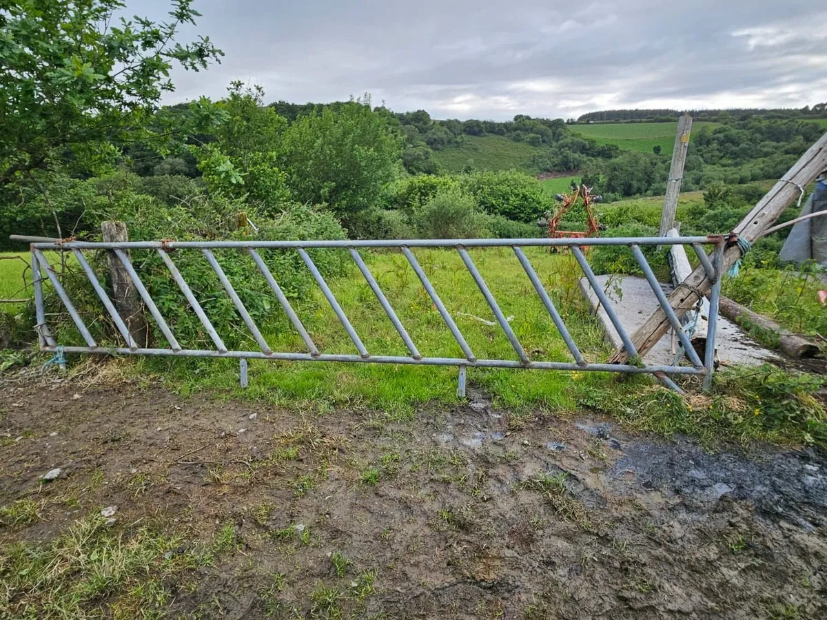 Feed barrier - Image 2