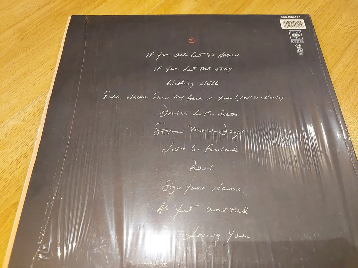 TERENCE TRENT DARBY - INTRODUCING... -VINYL RECORD - Image 2