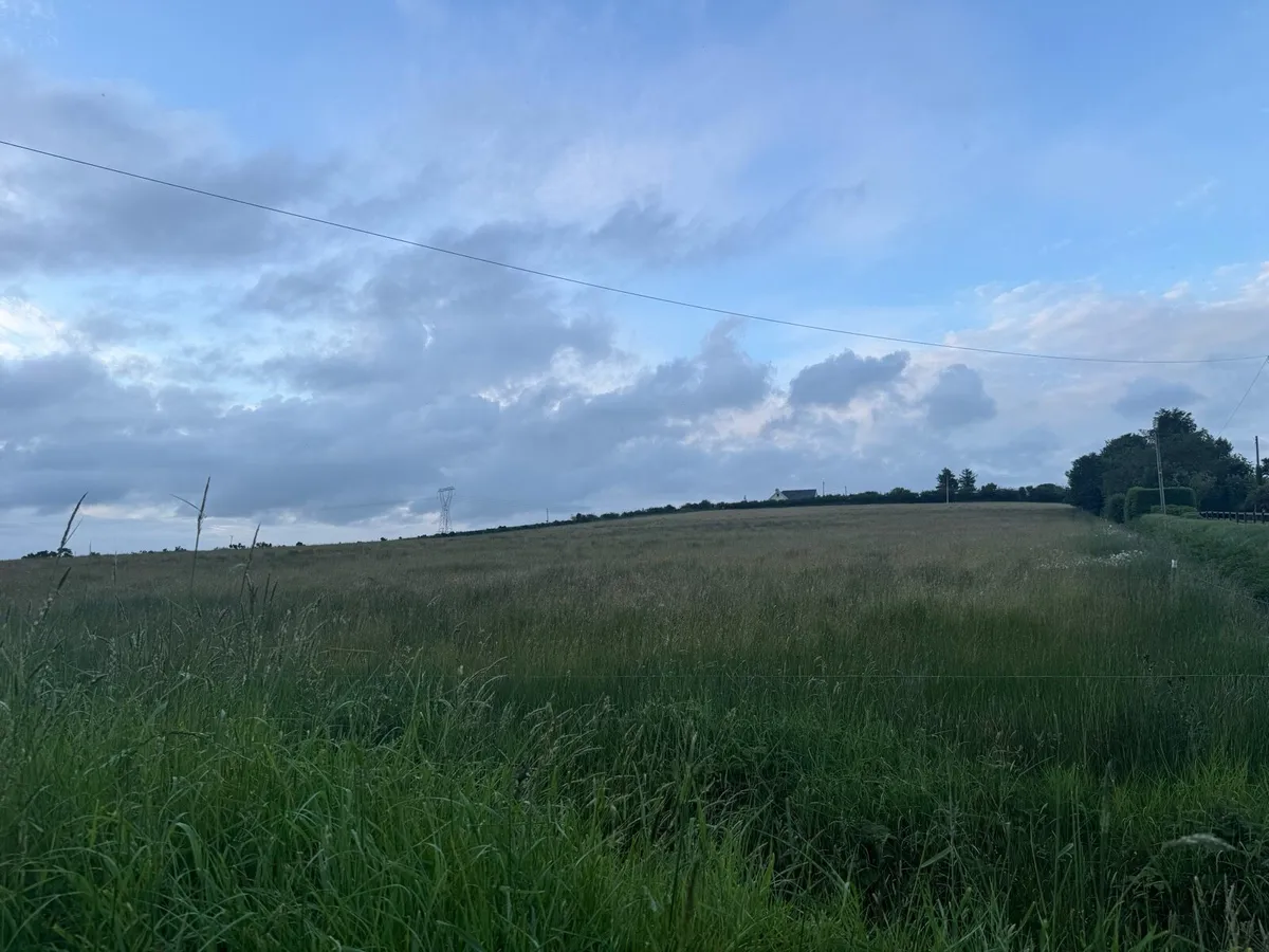 7 acres of meadow for silage