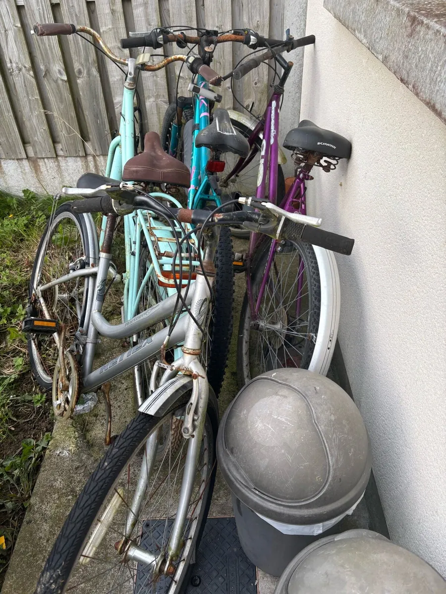 4 bikes or anyone you need - Image 1