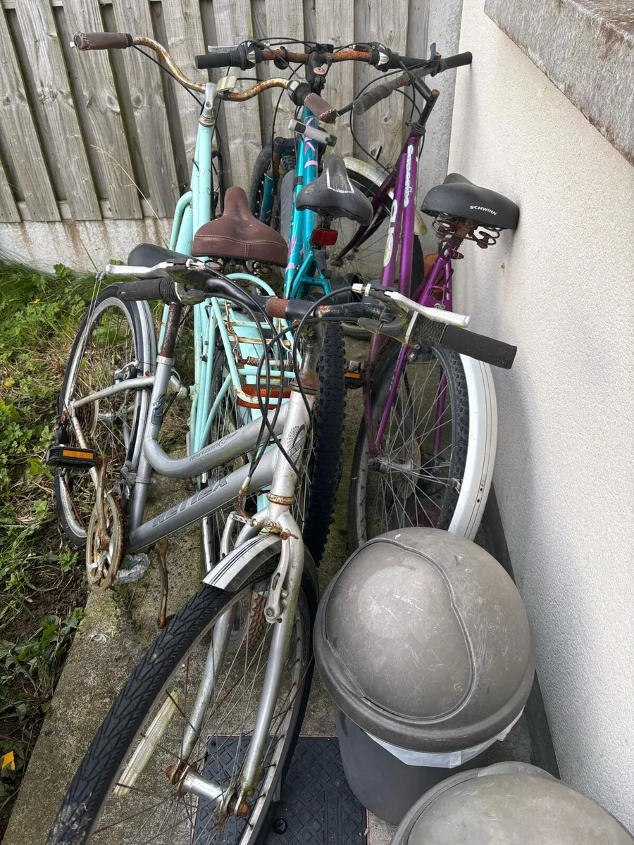4 bikes or anyone you need - Image 2