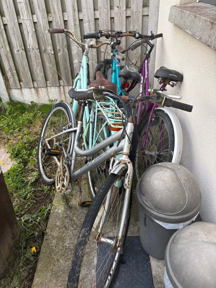 4 bikes or anyone you need - Image 3
